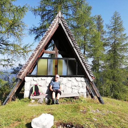 Ferienwohnung Schmaranzer Gosau Exteriör bild