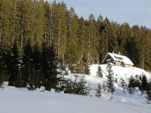 Ferienwohnung Schmaranzer Gosau Exteriör bild