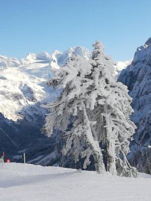 Ferienwohnung Schmaranzer Gosau Exteriör bild