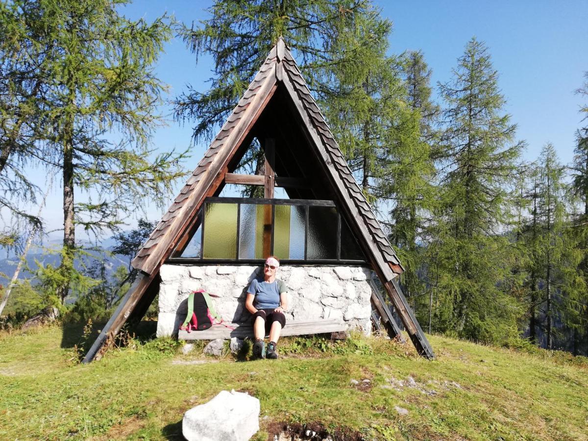 Ferienwohnung Schmaranzer Gosau Exteriör bild