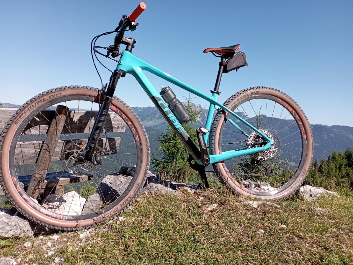Ferienwohnung Schmaranzer Gosau Exteriör bild