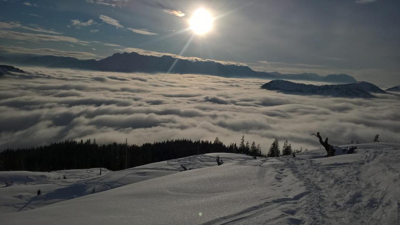Ferienwohnung Schmaranzer Gosau Exteriör bild